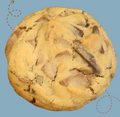 Choc Chip
